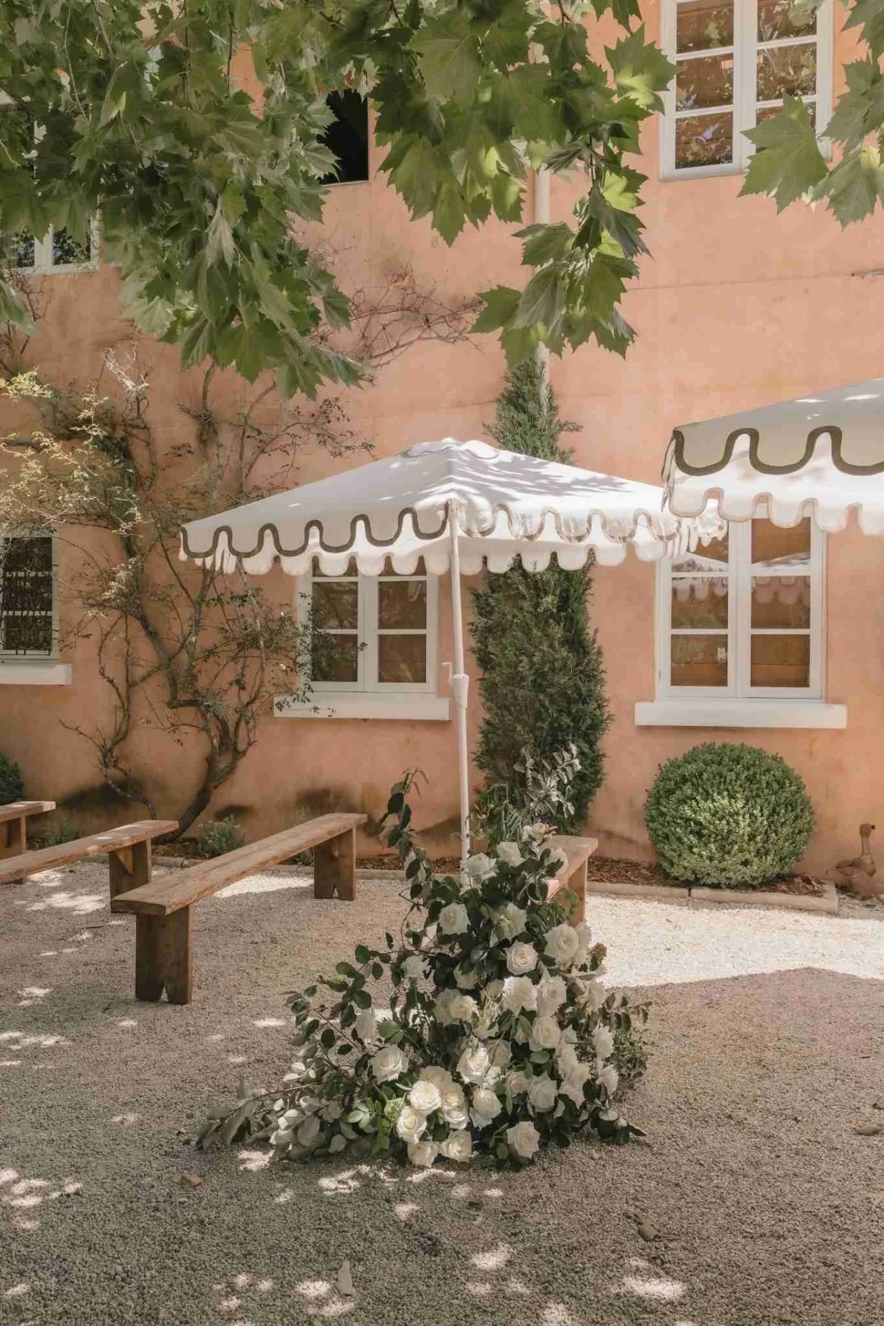 A garden wedding ceremony under scalloped cream umbrellas, with white roses pooling around the trunk of a plane tree and timber benches on the gravel
