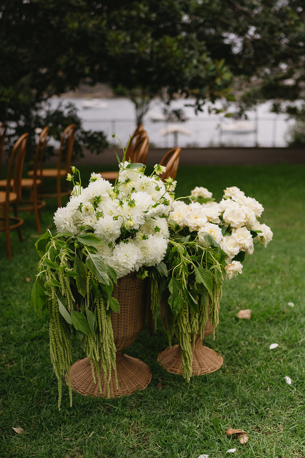 White dahlias, garden roses and trailing green amaranthus arranged in wicker urns on the lawn