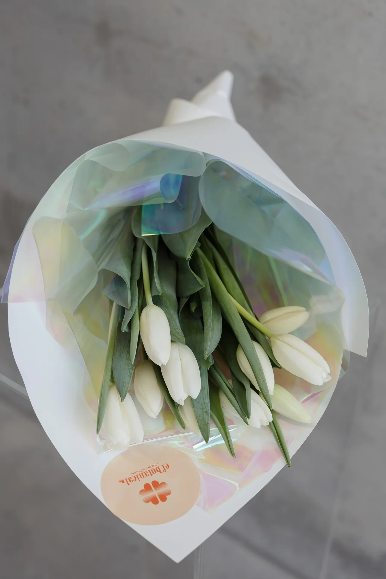 White tulips wrapped in iridescent paper