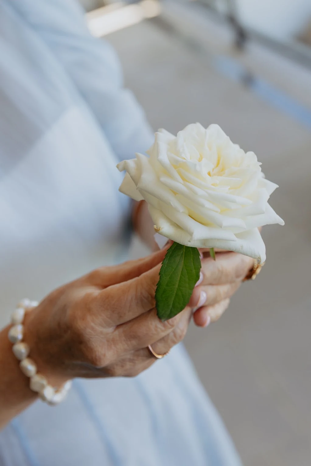 A white rose being held while the personal flowers are prepared