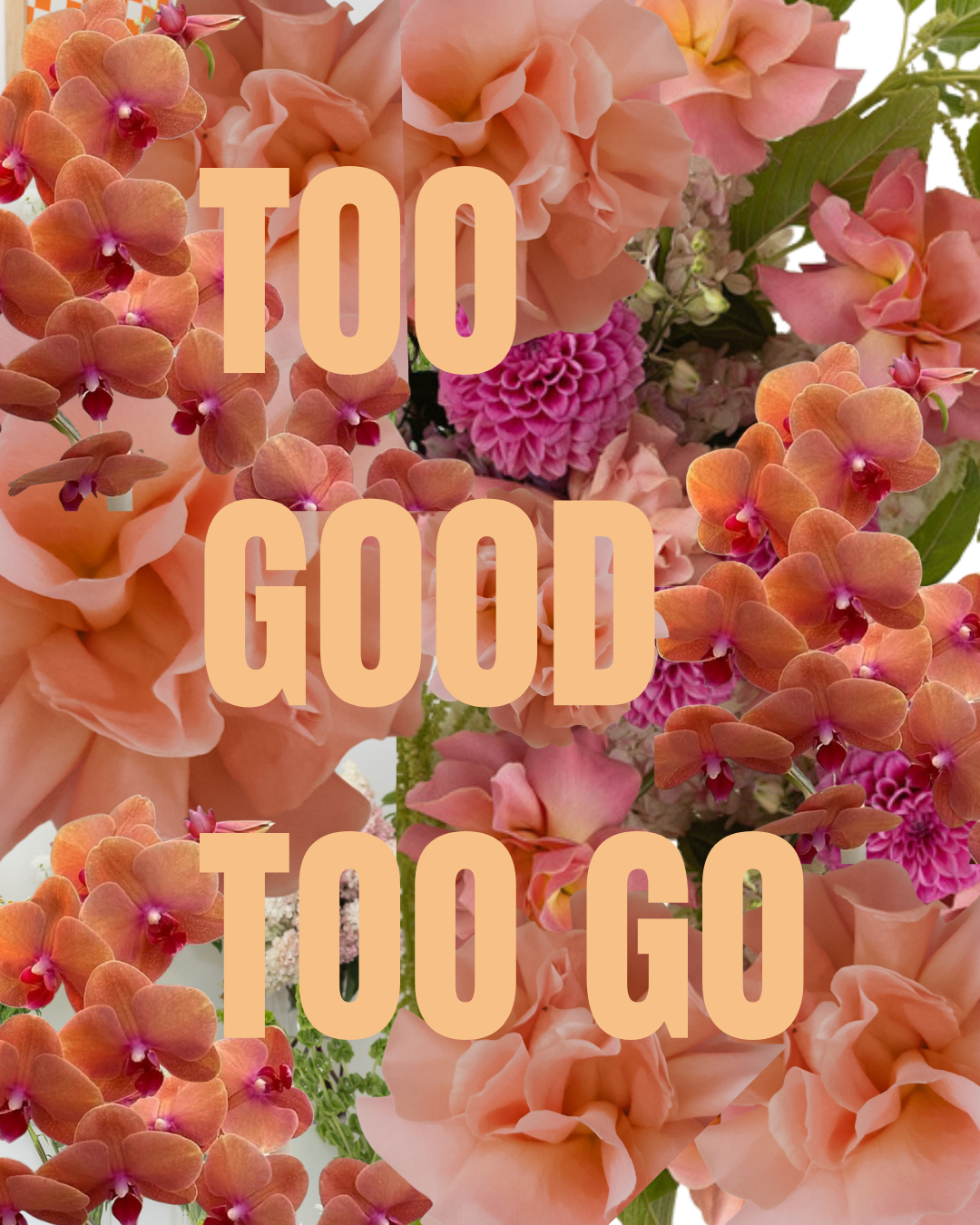 Collage of peach orchids, roses and dahlias with TOO GOOD TOO GO type